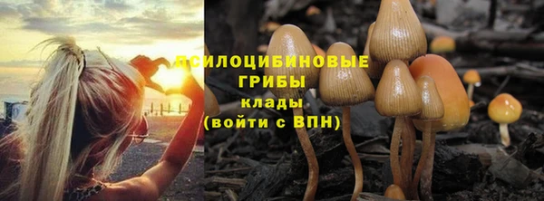 дурь Михайловка
