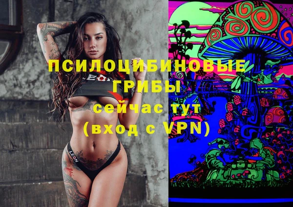 дурь Михайловка