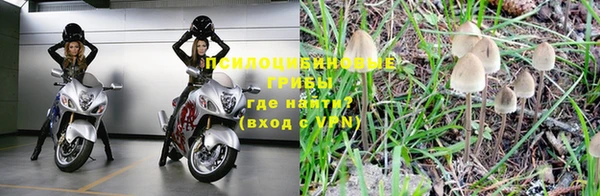 дурь Михайловка